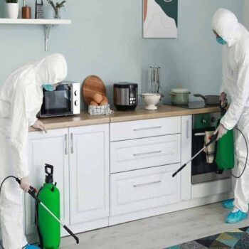 Guide to Pest-Proofing