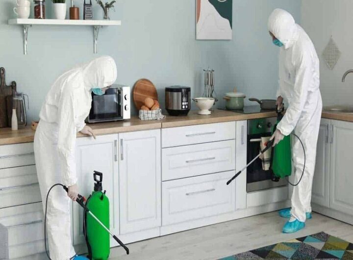 Guide to Pest-Proofing