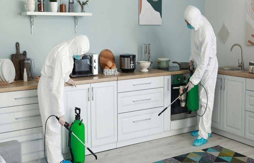 Guide to Pest-Proofing