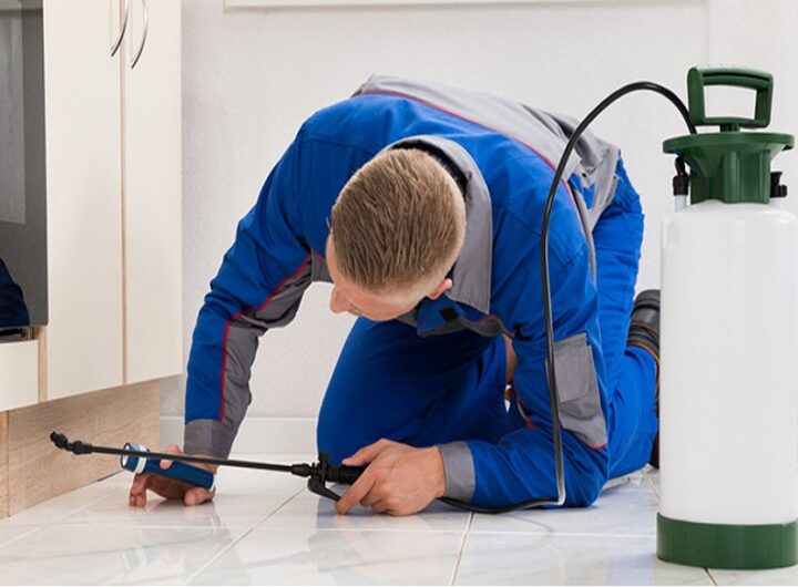 Pest Control Company in