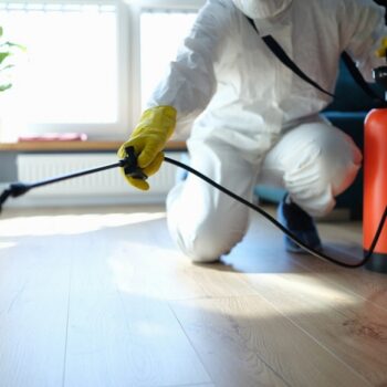 pest control