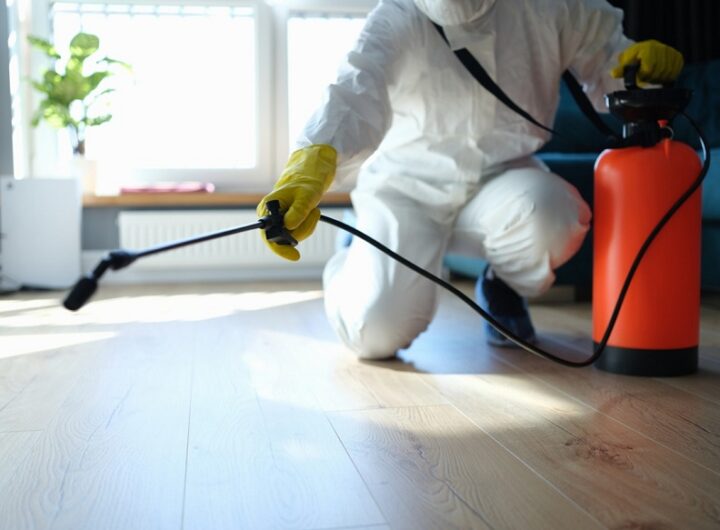 pest control