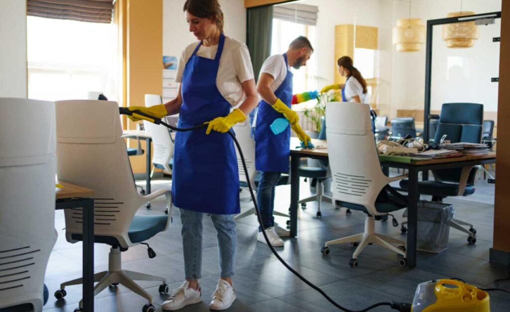 professional cleaners in Dublin